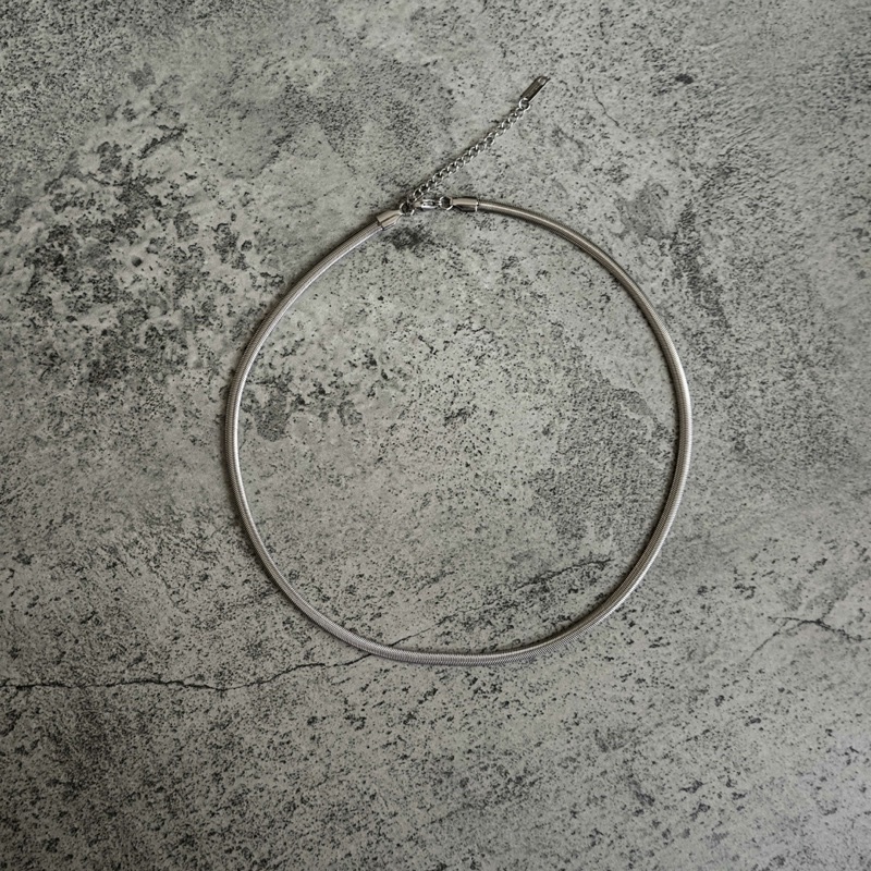 Snake Chain Necklace