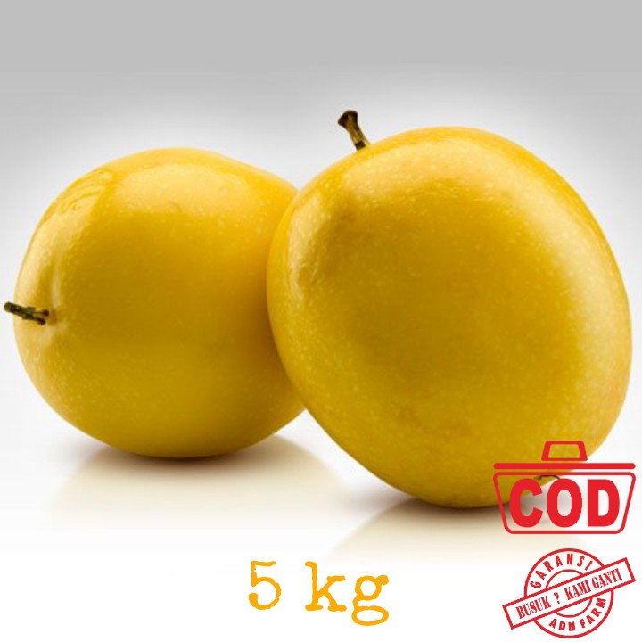 

Buah Markisa Fresh Kuning isi 5 kg 8-10 pcs/kg