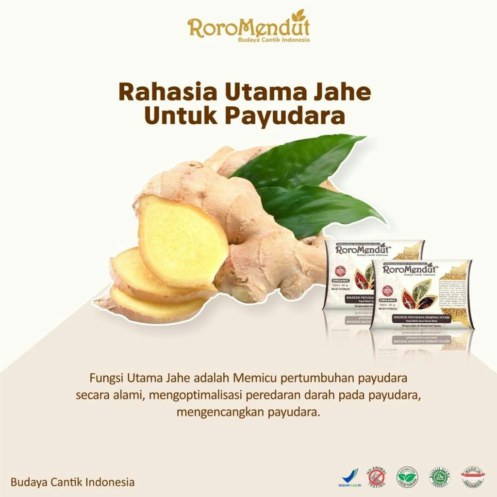 PEMBESAR PAYUDARA PENGENCANG PAYUDARA BPOM PERMANEN HORMON ESTROGEN CREAM OBAT PEMBESAR PAYUDARA