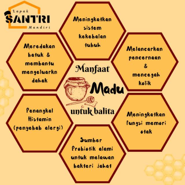 Madu Akasia India Original impor all varian