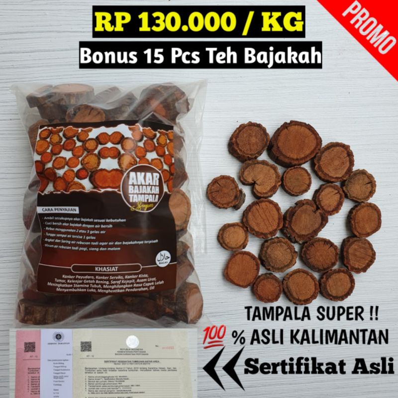 

Akar Bajakah Tampala Super Asli Kalimantan (1 kg)