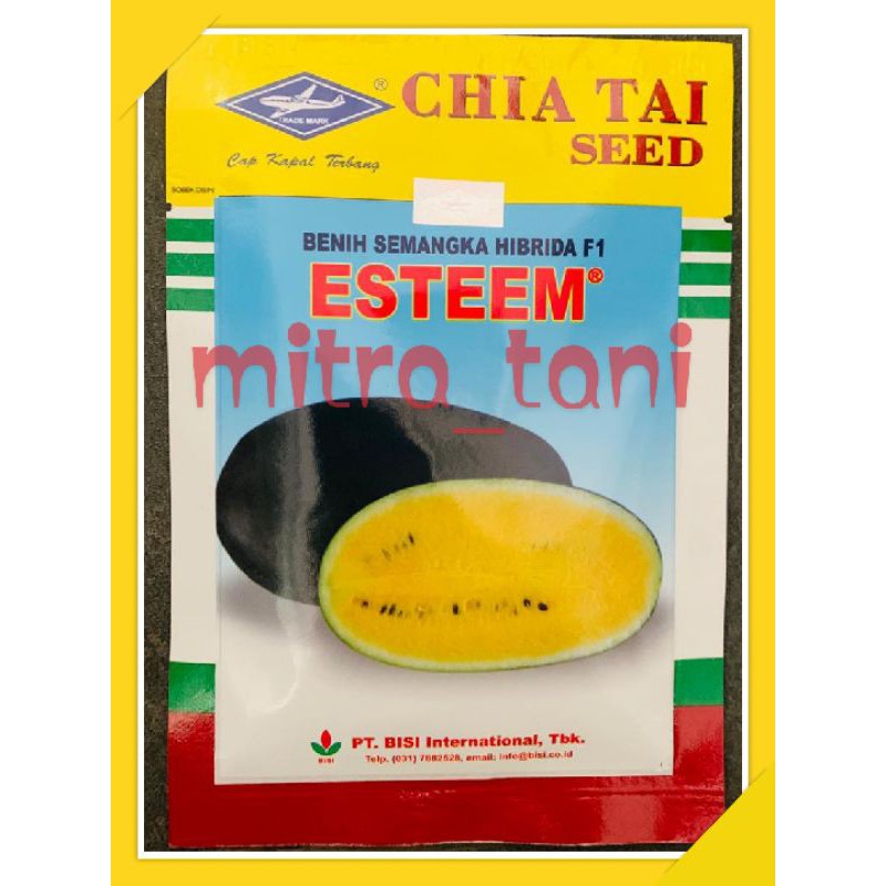 benih semangka hibrida lonjong kuning ESTEEM 20gram dari CAP KAPAL TERBANG