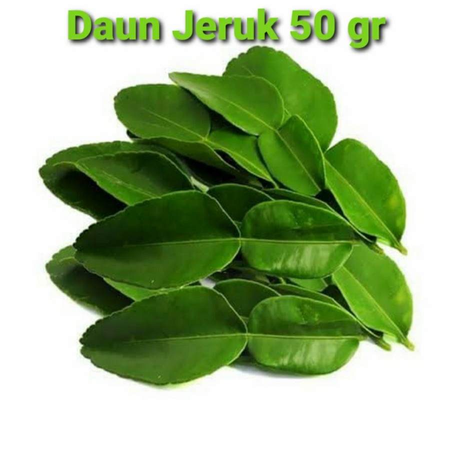 

Daun Jeruk Segar Harga Ekonomis***