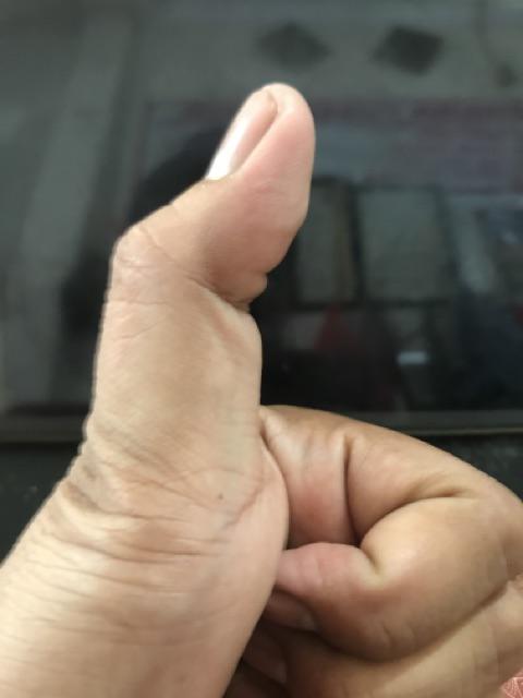 Tutup Paper Bowl 650 - 800ml