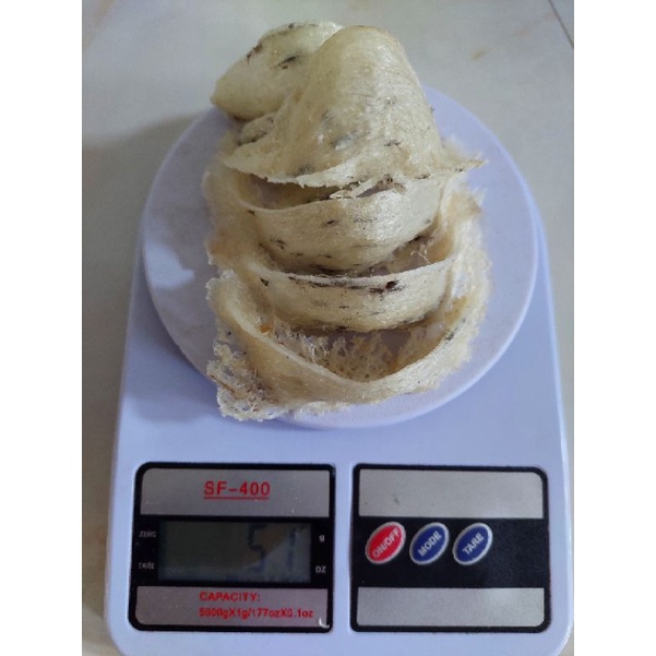

Sarang burung Walet 50gr mangkok masi kotor