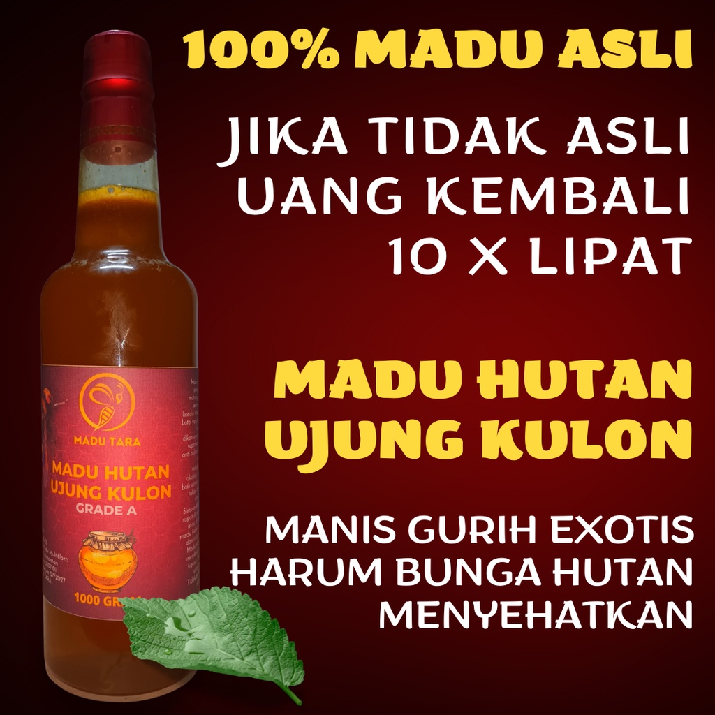 MADU HUTAN UJUNG KULON MADU ASLI MADU MENTAH MURNI RAW HONEY MADU TARA