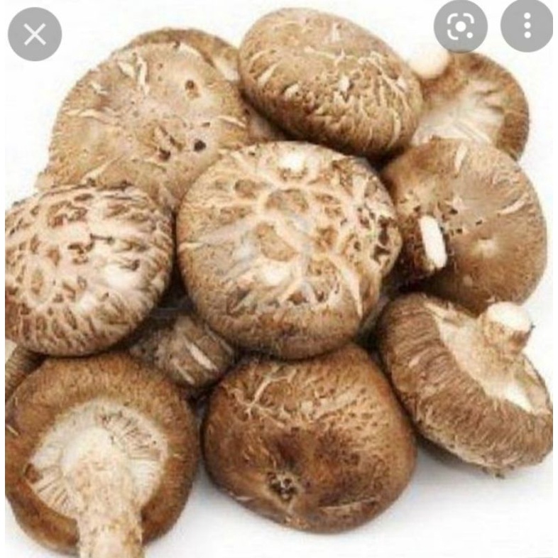 

Jamur Payung Shitake/Hioko 100gr