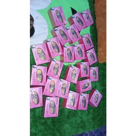 NR*, CREAM SUSU DOMBA ORI THAILAND*