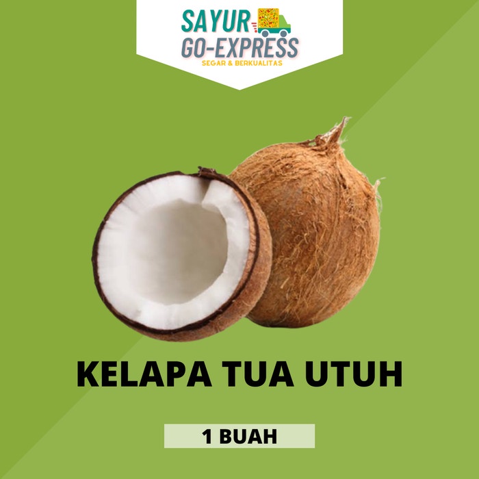 

kelapa tua utuh