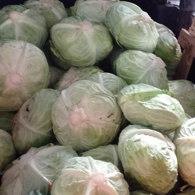 

Kubis Hijau Segar 500gram