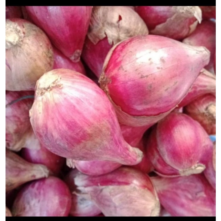

bawang merah brebes 1000gr