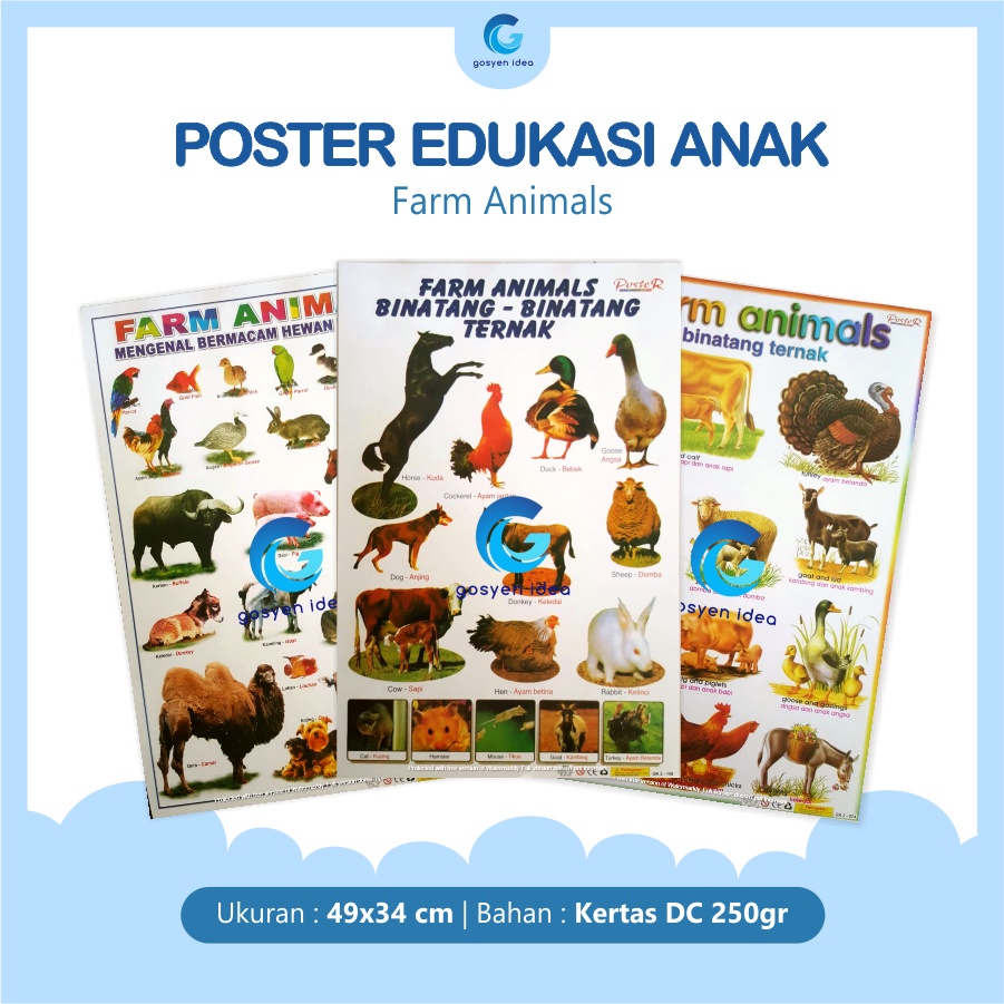 Jual Poster Edukasi Anak Belajar Farm Animals Binatang Ternak | Shopee ...