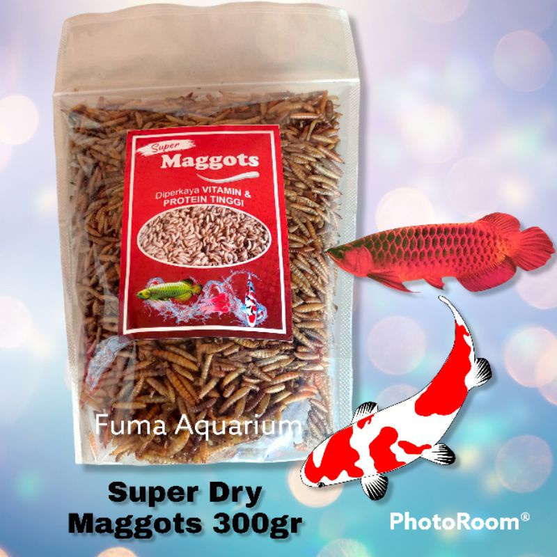 Super Maggots Premium BSF Kering 300gr Pakan Arwana,Koi,Chana, belida Dan semua Ikan predator