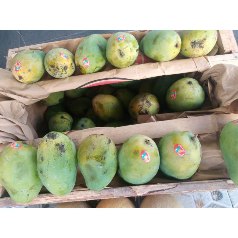 

MANGGA HARUM MANIS TUA SIAP SANTAP