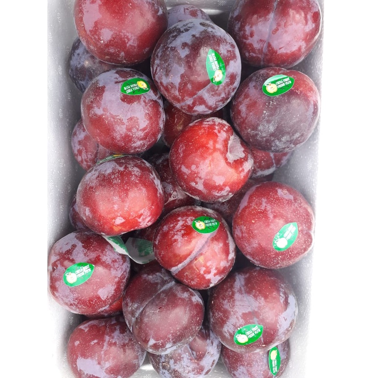 

Plum Merah