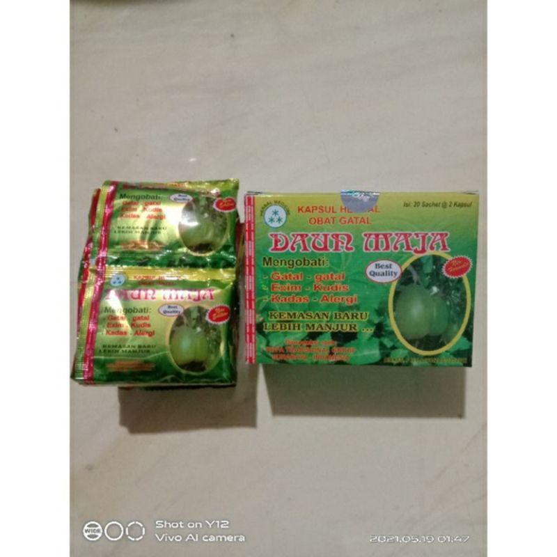 

Daun maja original