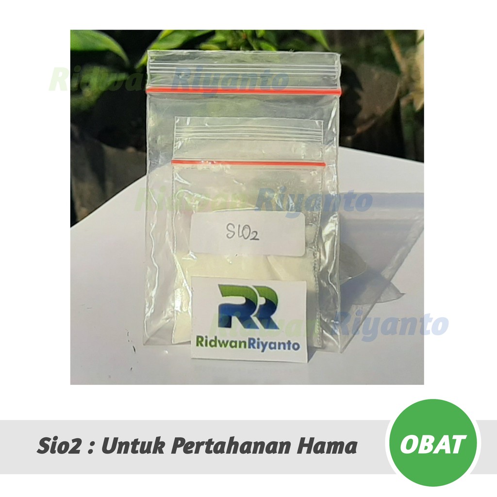 OBAT Cabai SiO2 atau Silikon Dioksida untuk Pertahanan Hama