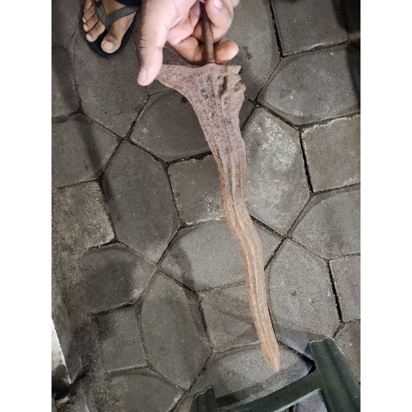 Keris wilah