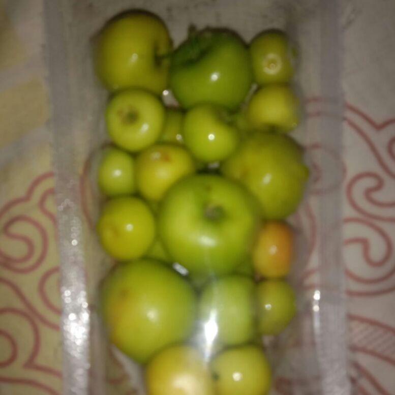

ND0 buah bidara arab asli fresh langsung di petik isi 35 buah ☌➲ ➽ 43