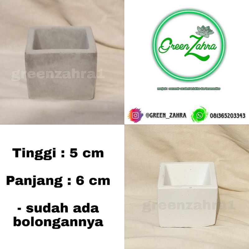 POT MINI SEMEN UNTUK TANAMAN HIAS KAKTUS DAN SUKULEN TERMURAH TERCANTIK