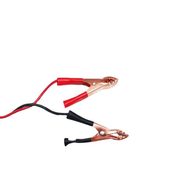 Charger Aki 20A 12V Mobil Motor Carger Aki Casan Aki Cas Aki Accu