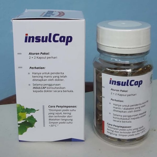 Insulcap Herbal Ampuh Untuk Penderita Diabetes dan Kencing Manis 50 Kapsul