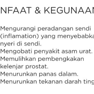 Laurik Hpai Untuk Obat Asam Urat