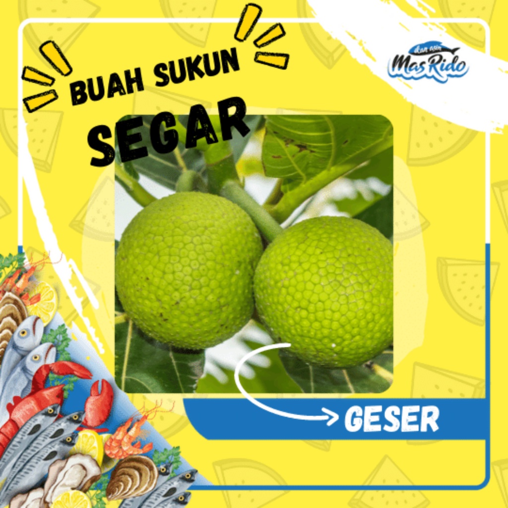 

Buah Sukun 1 Buah Sayur Segar Fresh