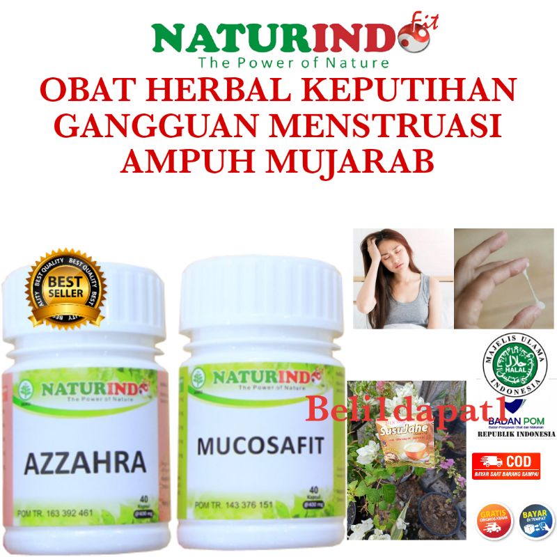 OBAT HERBAL KEPUTIHAN & MENSTRUASI AMPUH MUJARAB