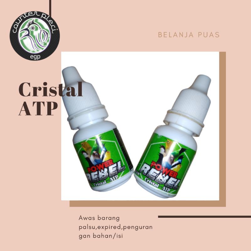 CRISTAL-ATP POWER BURUNG REBEL