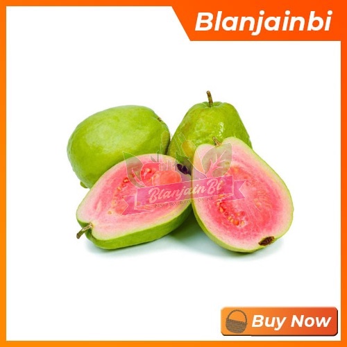 

Jambu Batu Bandung Area