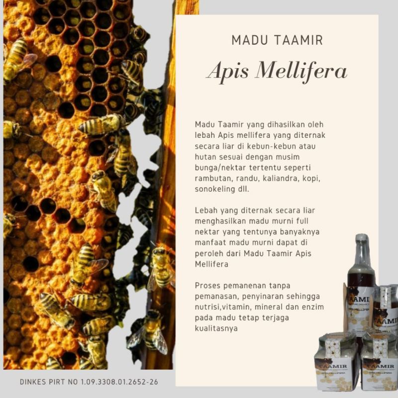 

MADU TAAMIR APIS MELLIFERA