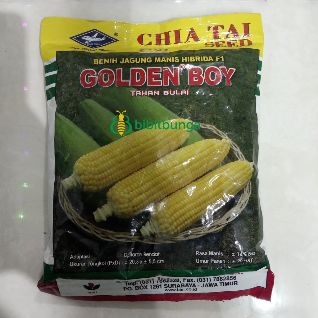 Benih Bibit Jagung Manis Golden Boy F1 250gr 250 gr gram Kapal Terbang
