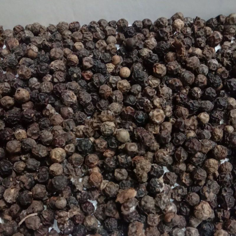 

Biji Lada Hitam Murah Berkualitas Baik