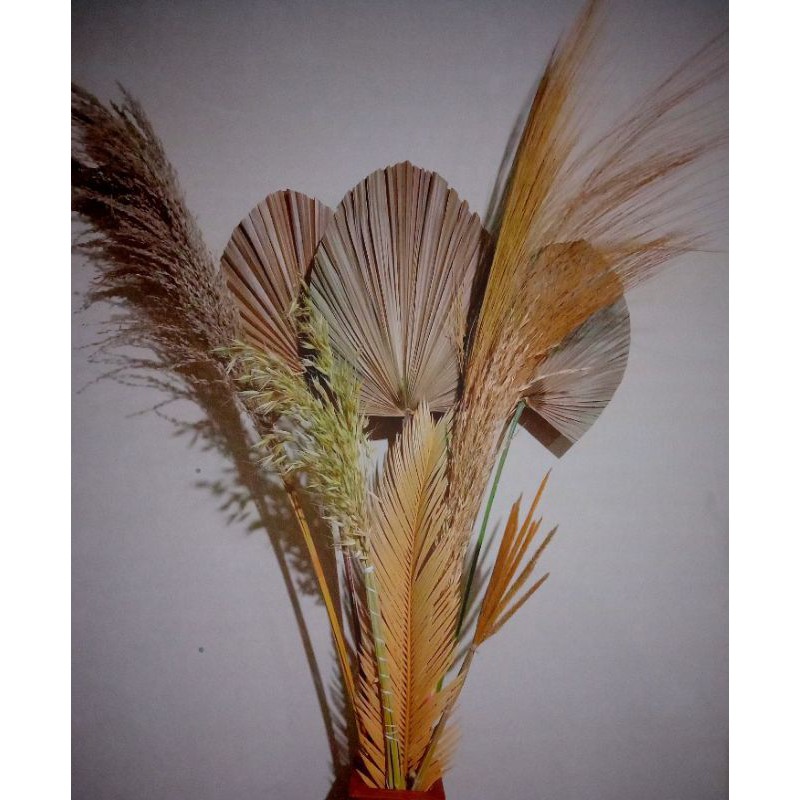 [TERMURAH] Paket lengkap daun palem kering | bunga kering | dekorasi rustic