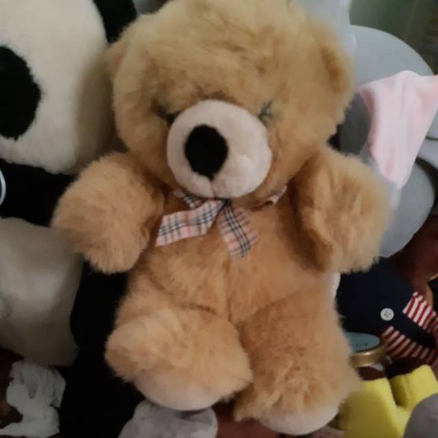 Boneka teddy bear