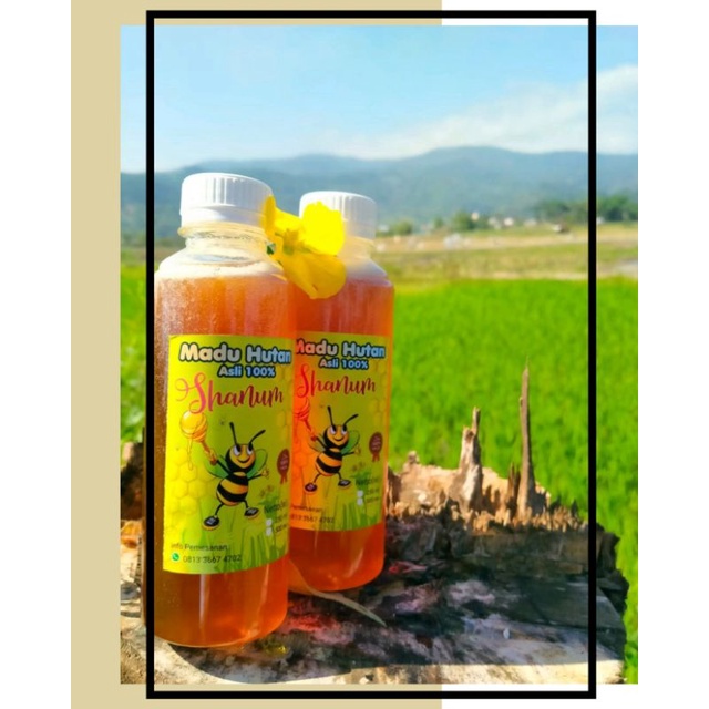 

Madu Hutan Liar 100% aseli Murni KEMASAN 250ML