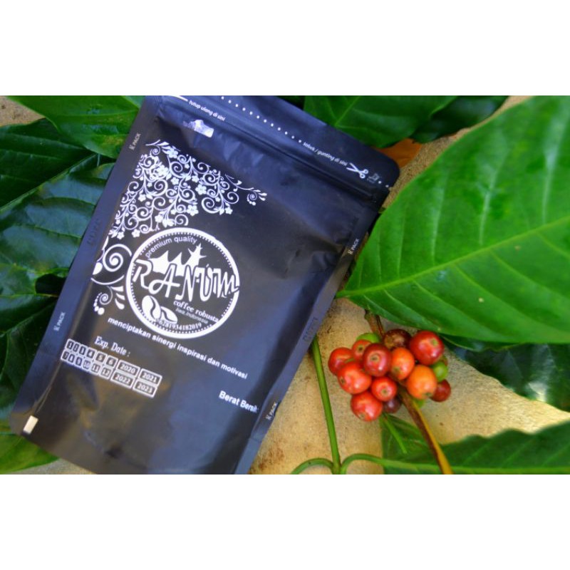 

BUBUK KOPI ROBUSTA, 150 Gram (RANUM COFFEE) 100% ORIGINAL FROM LIWA,LAMPUNG