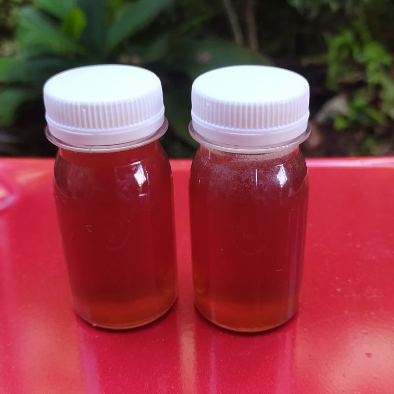 

Madu Kelulut - madu klanceng - madu asli - madu murni isi 50 ml