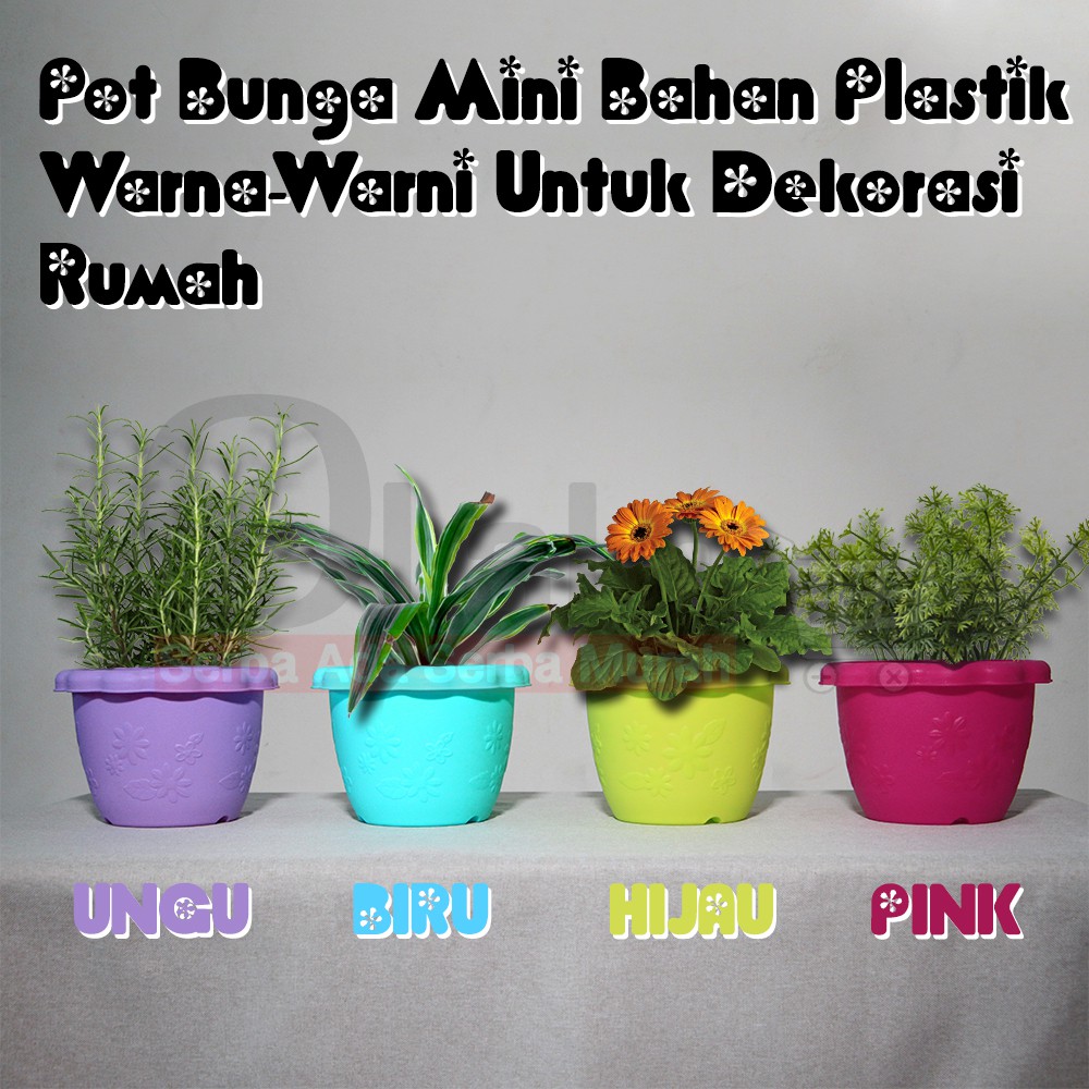 Pot Bunga Mini Bahan Plastik Warna-Warni Untuk Dekorasi Rumah / Kantor/Premium