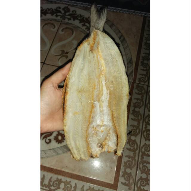 

Ikan gabus jambal asin
