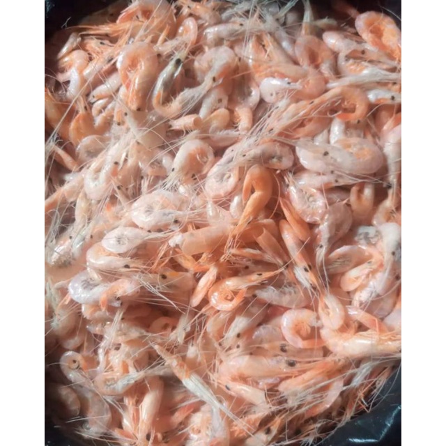 

udang manis medan
