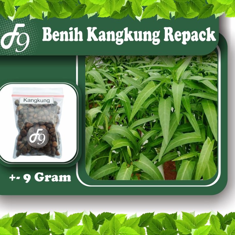 Benih Kangkung Bibit Kangkung Murah Repack Seribuan