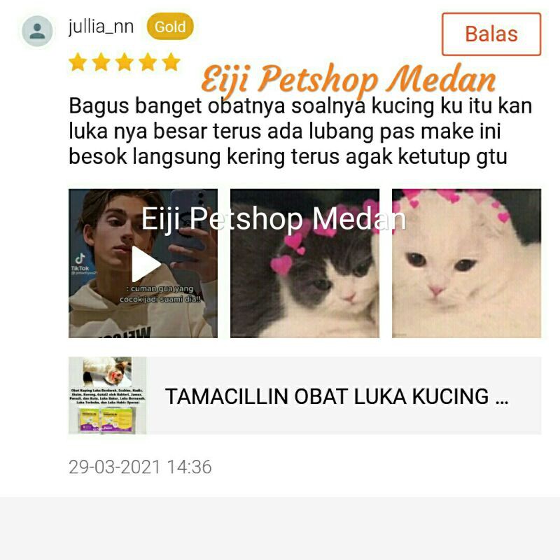 TAMACILLIN OBAT LUKA KUCING u2013 10 GRAM OBAT TABUR KUCING PASCA 