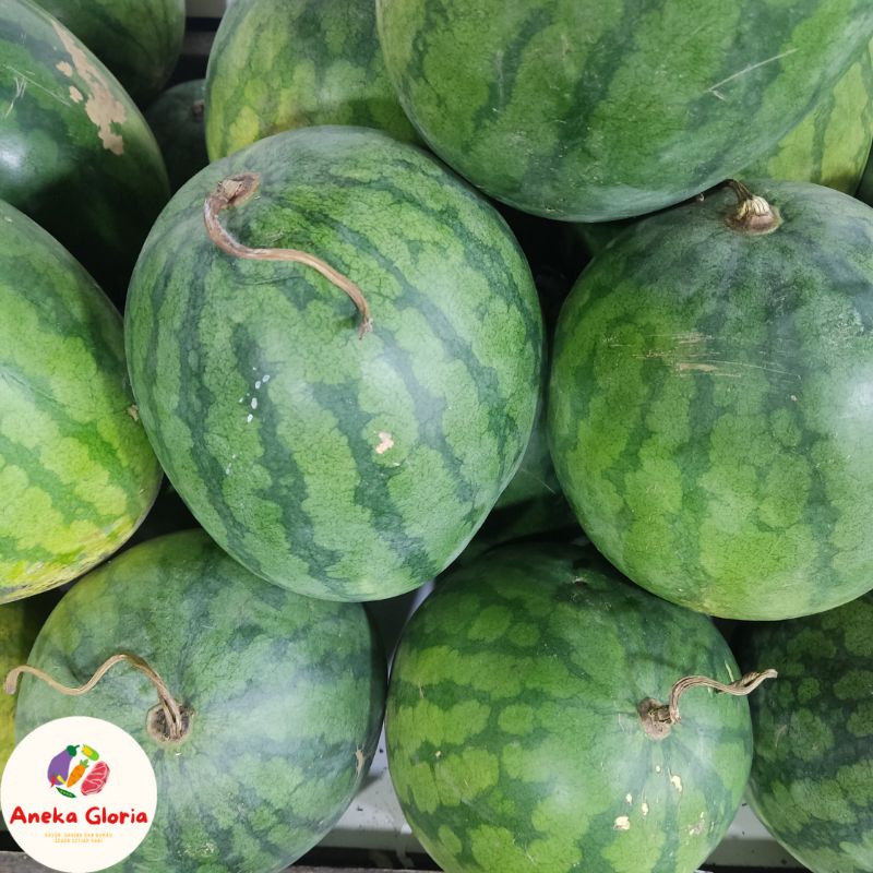 

Buah semangka merah segar per pcs (3,5-4 Kg)