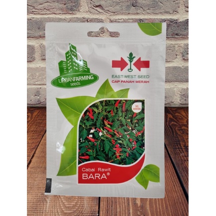 Benih Cabai Rawit BARA