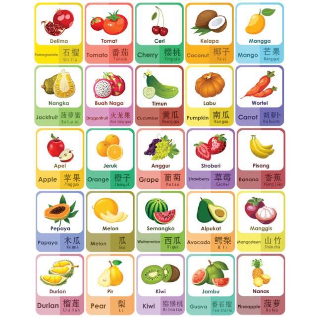 Gambar Nama Buah Dalam Bahasa Inggris Pulp 