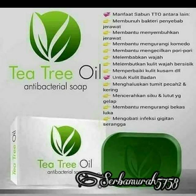 Yuk Lihat Manfaat Sabun Tea Tree Oil Msi 