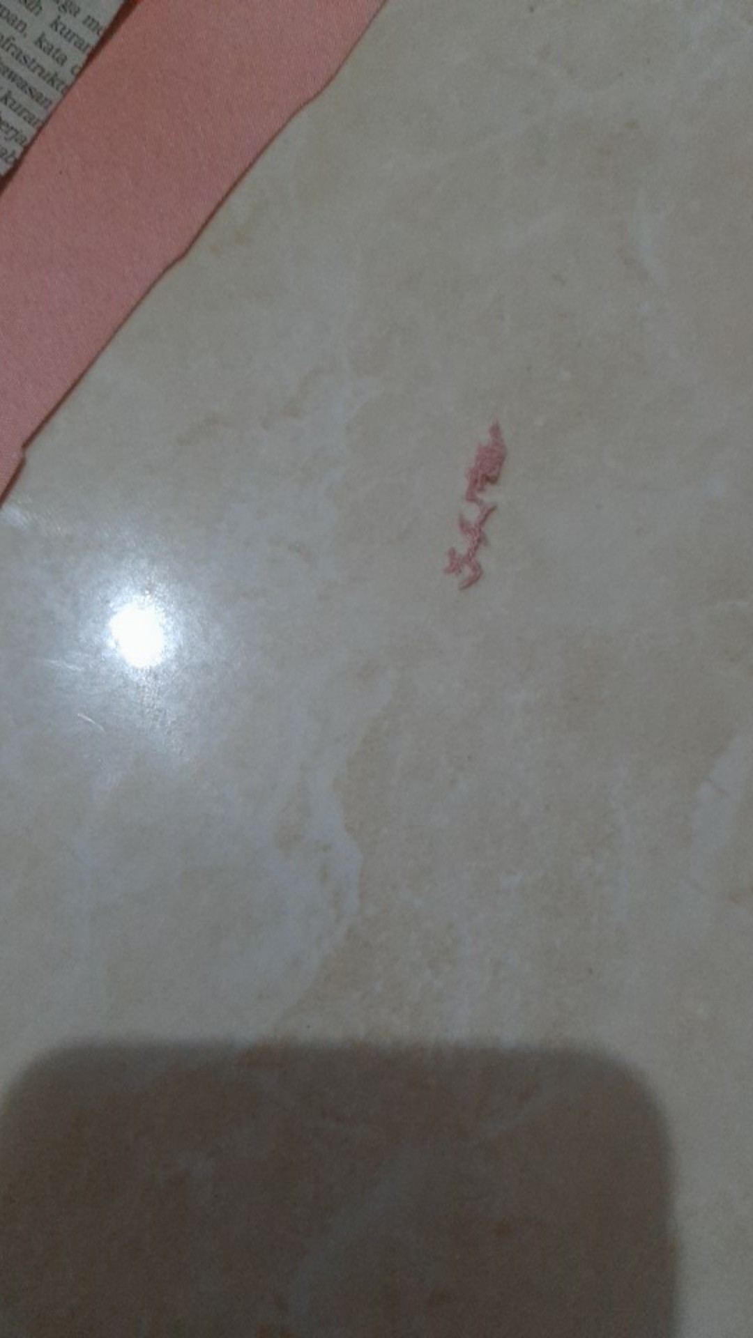 Spon Cuci Botol Murah