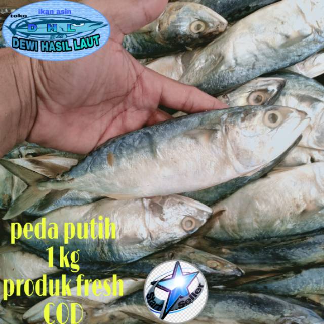 

Iakn asin peda putih 1 kg